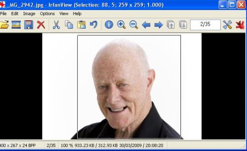 screenshot from Irfanview showing image sizing